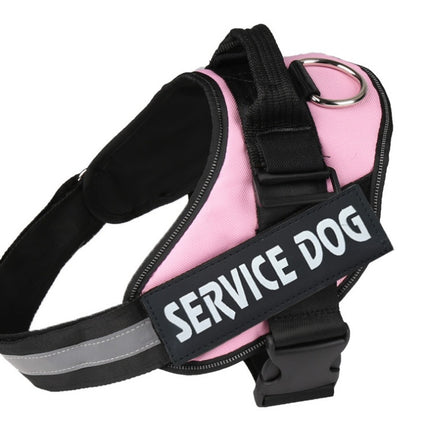 Pet chest strap with dog leash