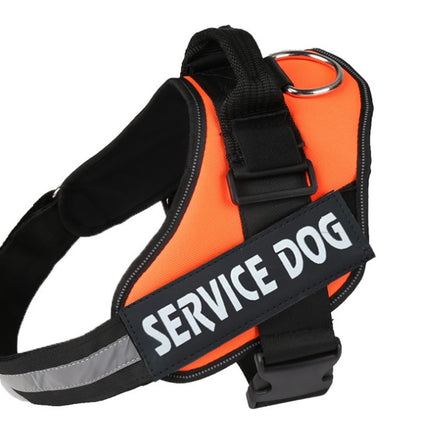 Pet chest strap with dog leash