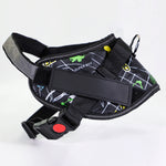 Pet chest strap with dog leash