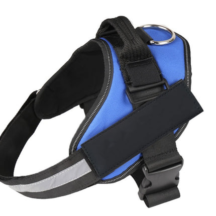 Pet chest strap with dog leash