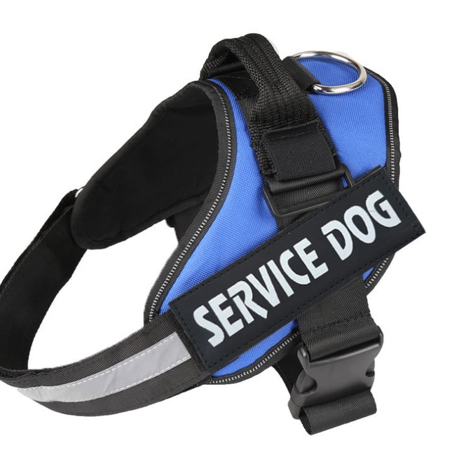 Pet chest strap with dog leash