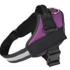Purple / XXS