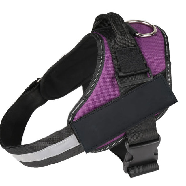 Pet chest strap with dog leash
