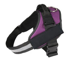 Pet chest strap with dog leash
