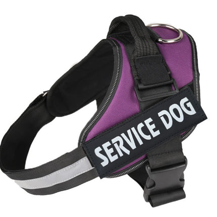Pet chest strap with dog leash