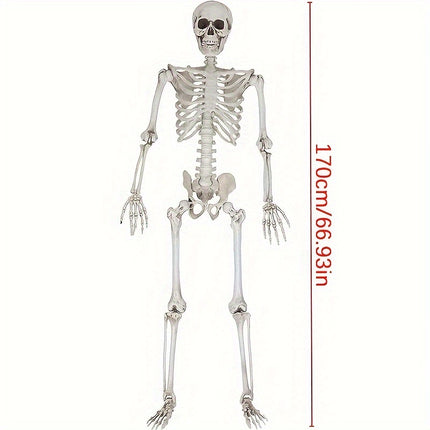 Life-Size 67" Movable Skeleton Decoration - Perfect for Halloween, Haunted Houses & Themed Parties - Durable Plastic, Realistic Design