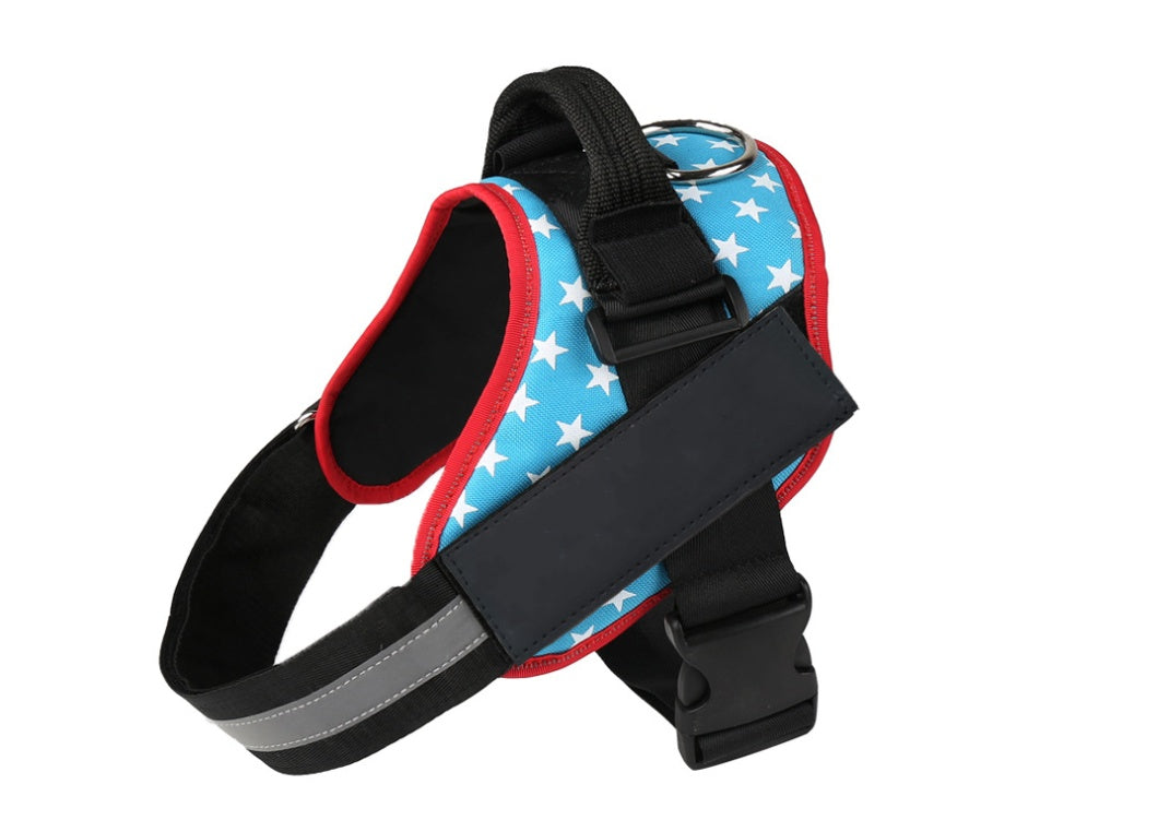 Pet chest strap with dog leash