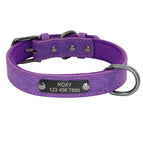 Purple / XS