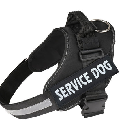 Pet chest strap with dog leash