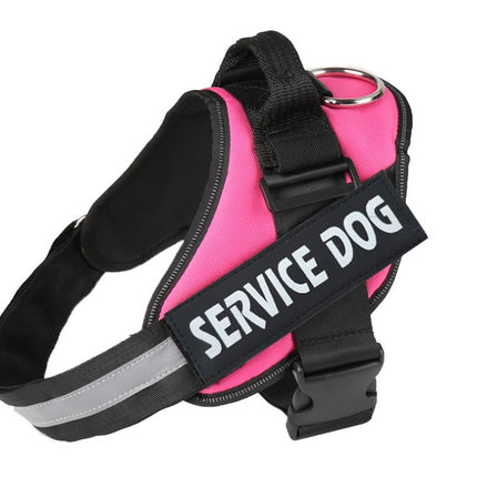 Pet chest strap with dog leash