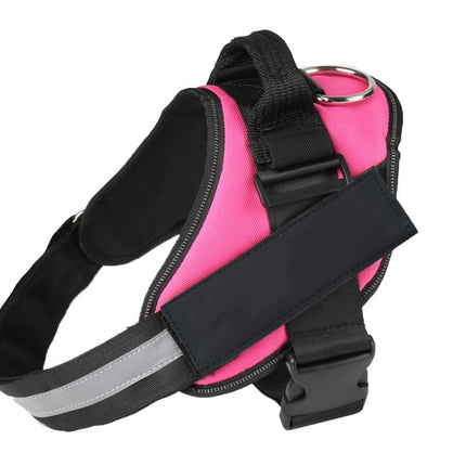 Pet chest strap with dog leash