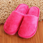 Rose Red / 37-38
