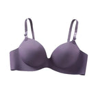 K01-PURPLE / 32 / A