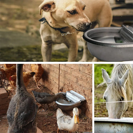 Automatic Water Dispenser for Dog Water, Stainless Steel Drinking Bowl for Farm Livestock Cattle Horse Goat Sheep(Auto-Filling)