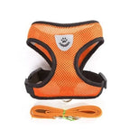 orange / M