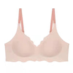 50089817506115|50089817932099|50089817964867|50089817997635|50089818128707