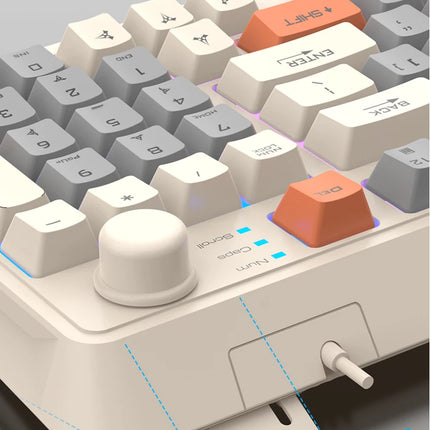 60% wired gaming keyboard, RGB backlight ultra compact mini keyboard, waterproof small compact 61 key keyboard for pc/Mac gamers