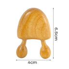 A3