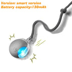 Gray Tail Ball / 2025 Smart Version
