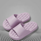 PURPLE / 36-37