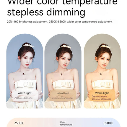 New Handheld Ring LED Rechargeable Fill light Portable Mobile Phone Live Broadcast Photography Desktop Rabbit Cage Selfie Light