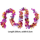 2M colourful