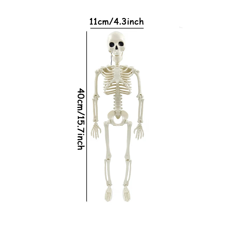 40/90cm Halloween Skeletons Fake Full Body Skull Bones Movable Halloween Party Decor for Home Bar Haunted House Horror Props