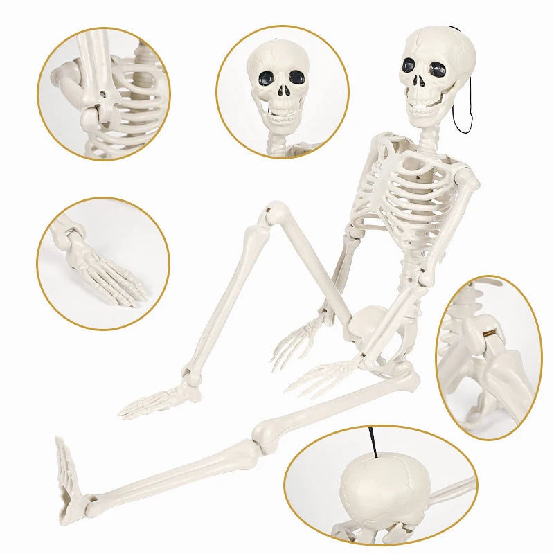 40/90cm Halloween Skeletons Fake Full Body Skull Bones Movable Halloween Party Decor for Home Bar Haunted House Horror Props