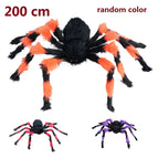 200cm Colorful