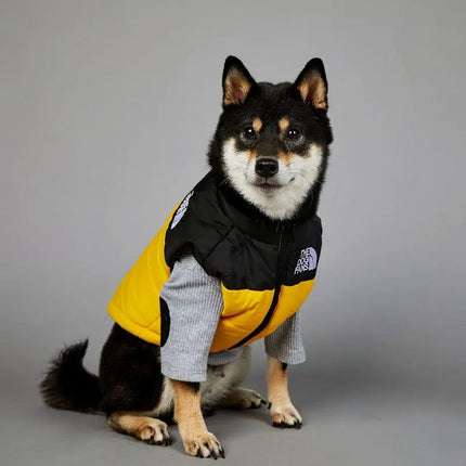 The Dog Face Toys Dog Clothes Cute Accessories Wholesale Birthday Gifts Pet Supplies Trendy Brand Thermal Assault Suit Presents