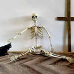 Halloween Skeleton Life Size Human Skeleton with Posable Joints Weather-Resistant Garden Decor Spooky Photo Props for Holiday