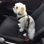 Dog Car Safety Belt Dog Safety Belt with Damping Belt and Reflective Line Adjustable Length Suitable Any Dog