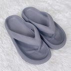 Grey / 36-37