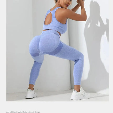 Yoga Basic 2pcs Seamless High Stretch Yoga Set Tracksuit Gym Set Crisscross Back Cami Hip-hugging Tummy Control Leggings