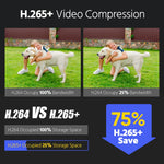 ANNKE 12MP Smart Dual Light Camera Kits Security Cam 8CH NVR 8PCS POE Camera Outdoor CCTV Video Surveillance Protection Camera