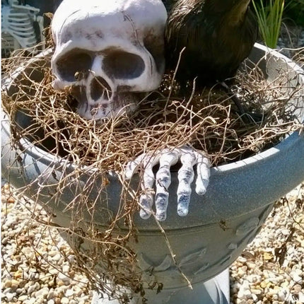 Halloween decor Skeleton Stakes Halloween Realistic Skull Skeleton Head Human Hand Arms for Halloween Party Home Garden Lawn
