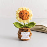 Mini Finished Crochet Roses Sunflowers Potted Emotional Support Stuffed Plants  Mother Valentine Christmas Graduation Gifts