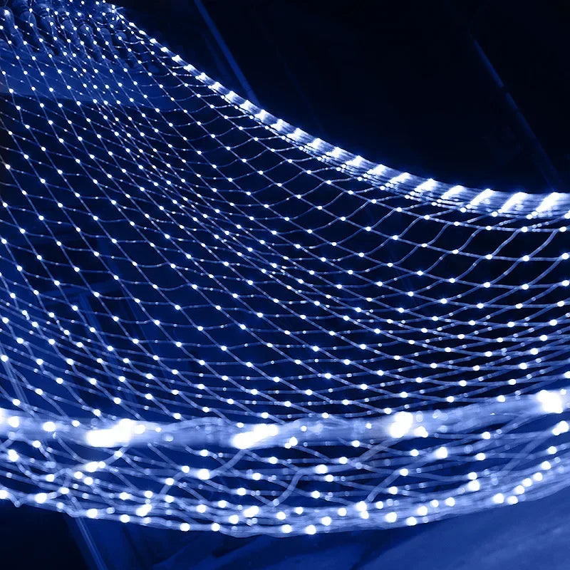 50076454977859|50076455010627