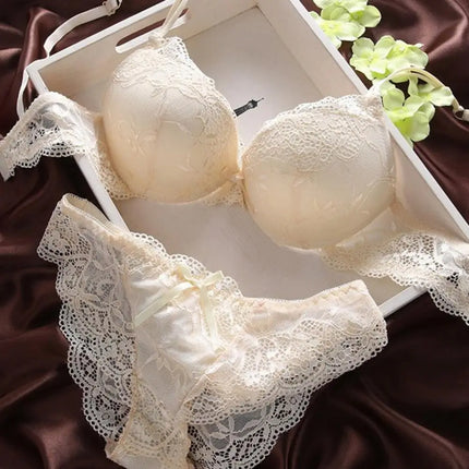 2 Pcs/Set Women Underwear Set Bra Panties Set Lace Push Up Elastic Deep V Neck Soft Padded Lady Intimate Clothes With Wire