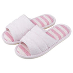 50108192719171|50108192751939|50108192784707|50108192817475|50108192850243|50108192883011