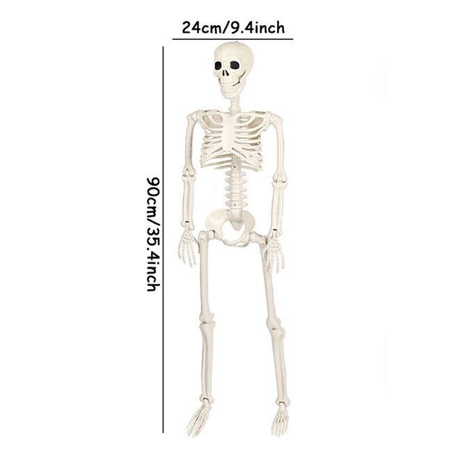 40/90cm Halloween Skeletons Fake Full Body Skull Bones Movable Halloween Party Decor for Home Bar Haunted House Horror Props