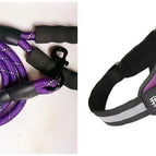 Purple / XS